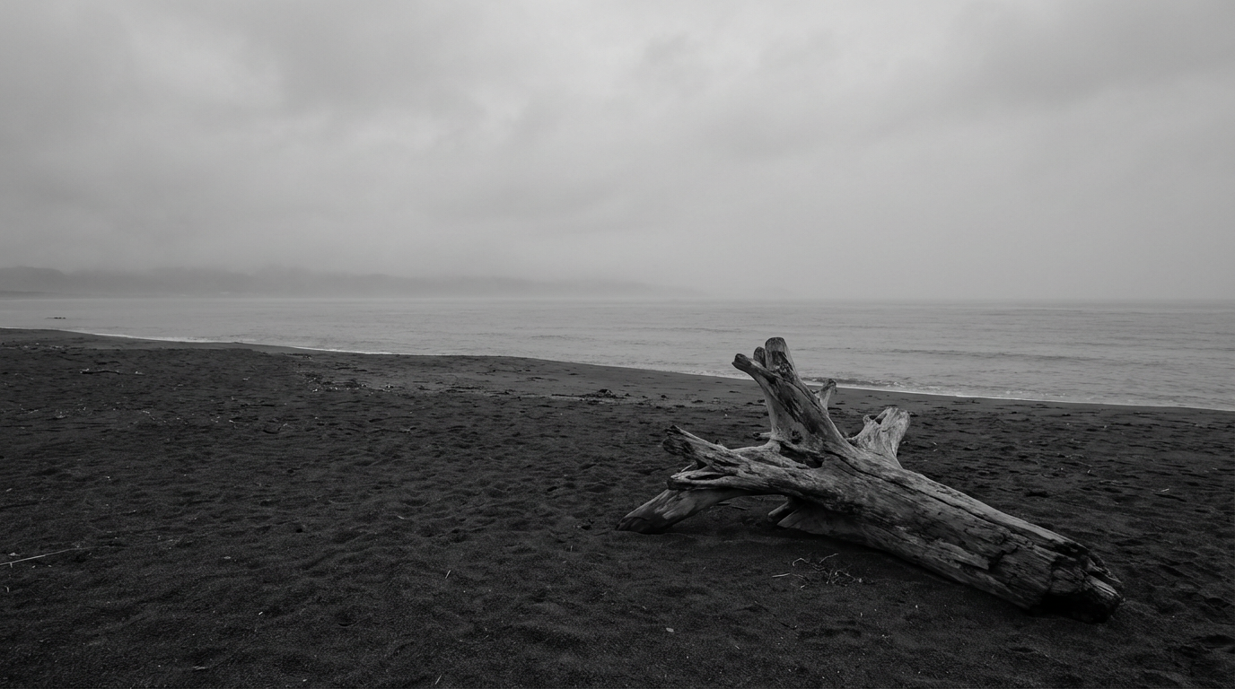 曇天の海岸に打ち上げられた流木と遠くの水平線、モノトーンの風景写真、人物は写らない